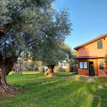 La Piana degli Ulivi-3